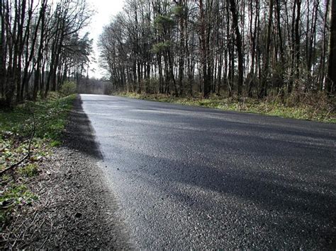 Free picture: road, beside, forest