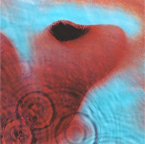 A Pillow Of Winds (Meddle) by Pink Floyd : Song Review