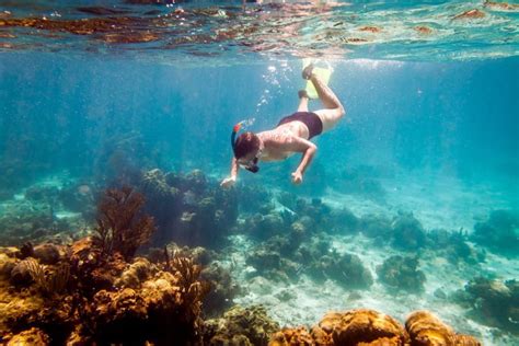 Four Winds Snorkel Tours: Top 10 Snorkeling Spots in Maui - Four Winds Maui Snorkeling ...