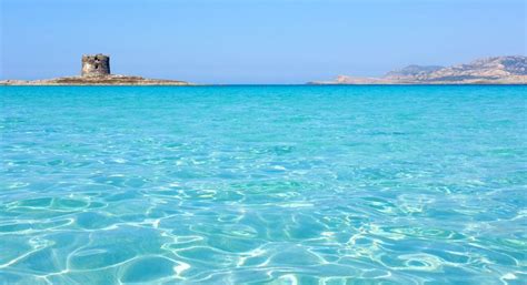 La Pelosa beach, Sardinia, Italy - Ultimate guide (December 2024)