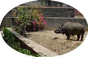 SAVE RANI BAGH BOTANICAL GARDEN COMMITTEE - FAQ PAGE