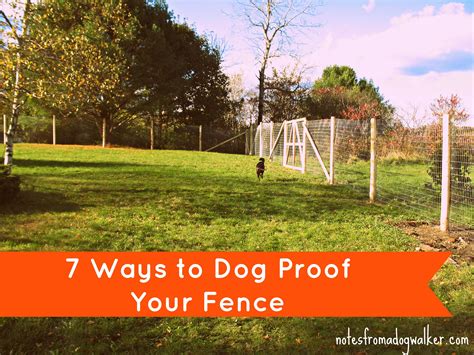 Inexpensive, Safe, Attractive Fencing Options for dogs에 있는 핀