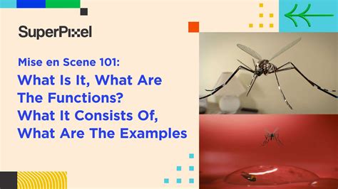 Mise en Scene 101: What Is It, The Elements, and Examples - Superpixel