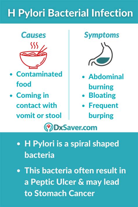 What is H Pylori Test? | Read More About Normal H Pylori Test Range & H Pylori Breath Test ...