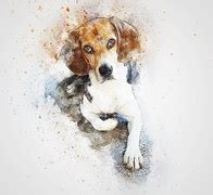 Free illustration: Dog, Drawing, Painting, Pastel - Free Image on Pixabay - 591681