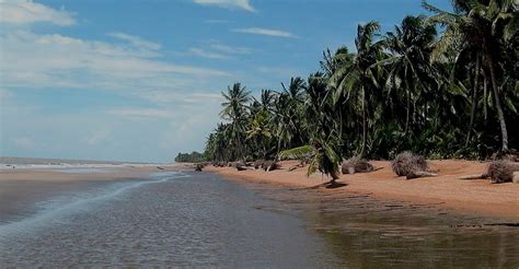 Guyana Tours | Enchanted Expeditions