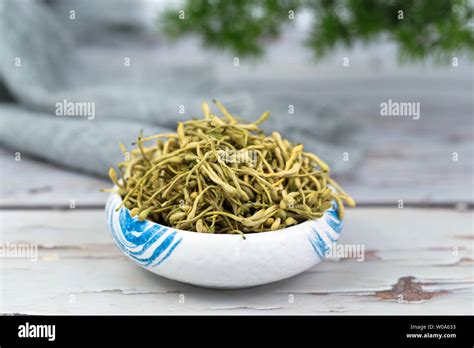 Chinese Honeysuckle High Resolution Stock Photography and Images - Alamy