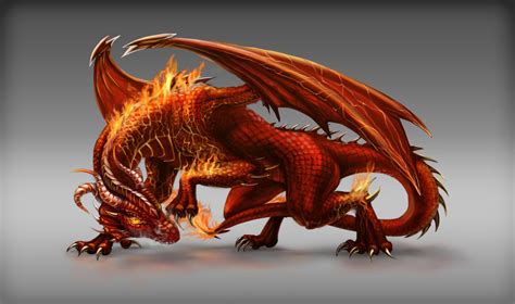 Fire Dragon game npc design by FallFox on DeviantArt