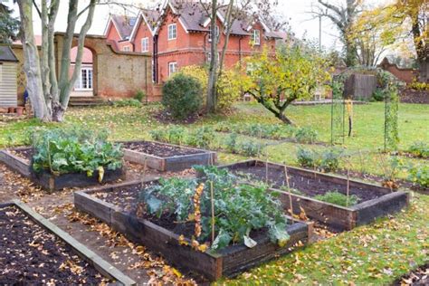 Snuggle Up with These Easy-to-Grow Winter Veggies - The Practical Planter