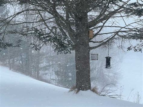 January Blizzard: Best storm photos from across Maine