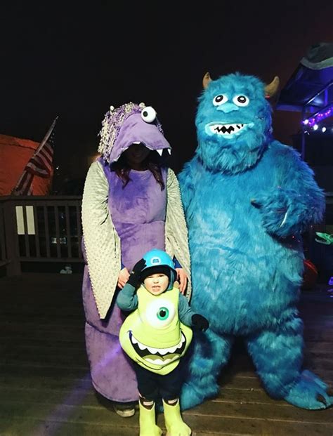 Family of 3 Halloween Costumes: Mike, Sully, and Boo from "Monsters ...