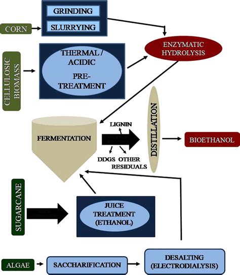 Schematic representation of bioethanol production | Download Scientific ...