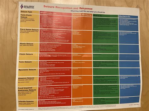 Understanding Epilepsy Chart Poster Laminated Seizure - vrogue.co