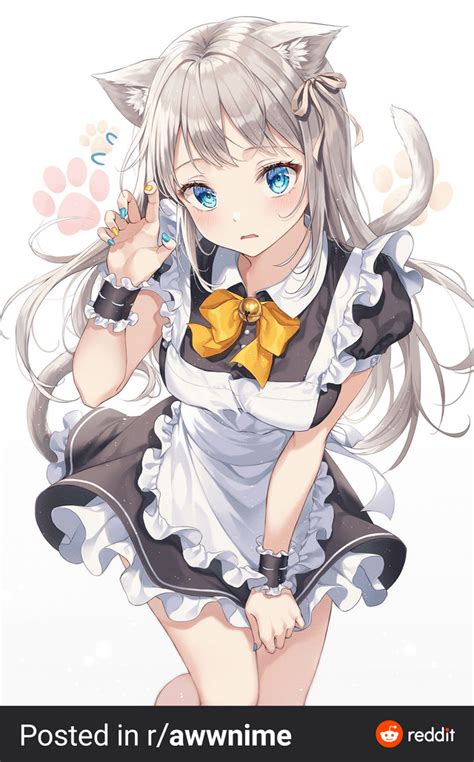 Cute cat maid : r/animecuteness