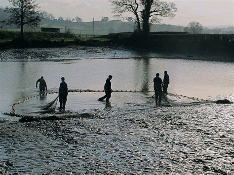 10 mm Seine Nets | Fisheries | Collins Nets