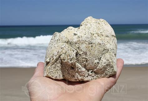 How to identify ambergris, ambergris shape, colour, size and smell, ambergris test