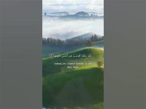 Spiritual Recitation of Surah At-Tinسورة التين #quran #shorts # ...