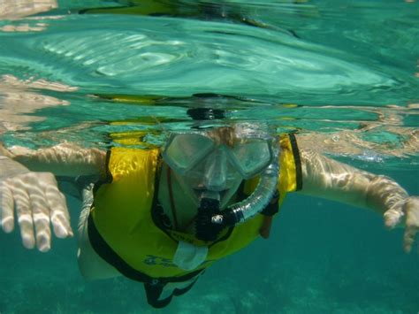 Snorkeling in Grand Turk, Turks and Caicos Islands while cruising on the Holland America ...