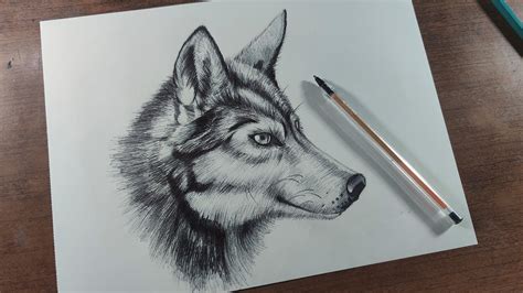 Introducir 70+ imagen dibujos de lobos en lapiz - Abzlocal.mx