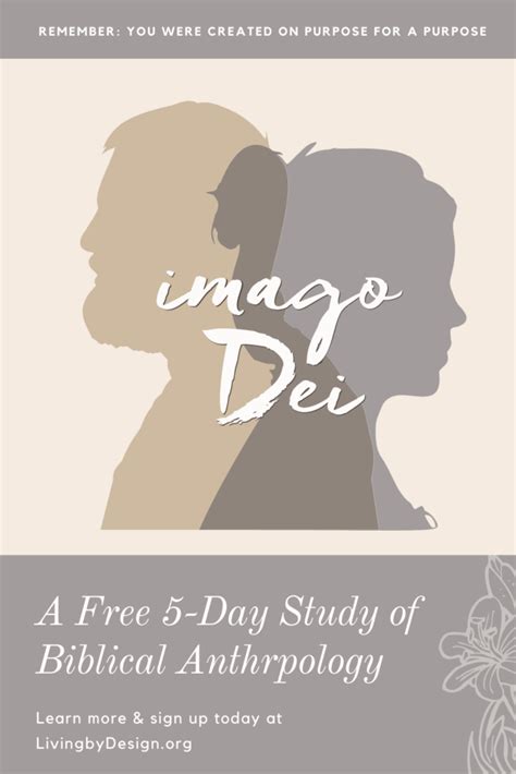 Imago Dei: A Free 5-Day Study of Biblical Anthropology