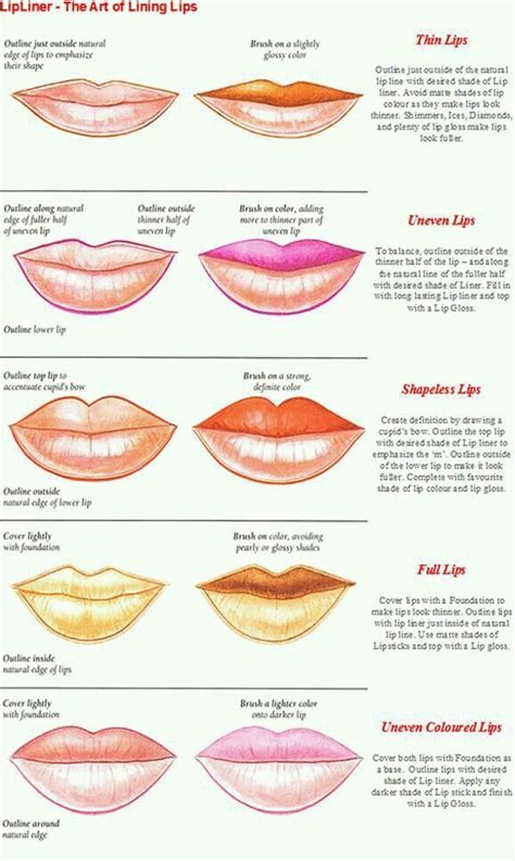 Follow this guide to learn how to apply lip liner for different lip ...