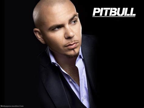 Pitbull fond d’écran - Pitbull (rapper) fond d’écran (25094094) - fanpop