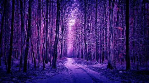 Path Between Purple Trees Forest HD Nature Wallpapers | HD Wallpapers | ID #53908