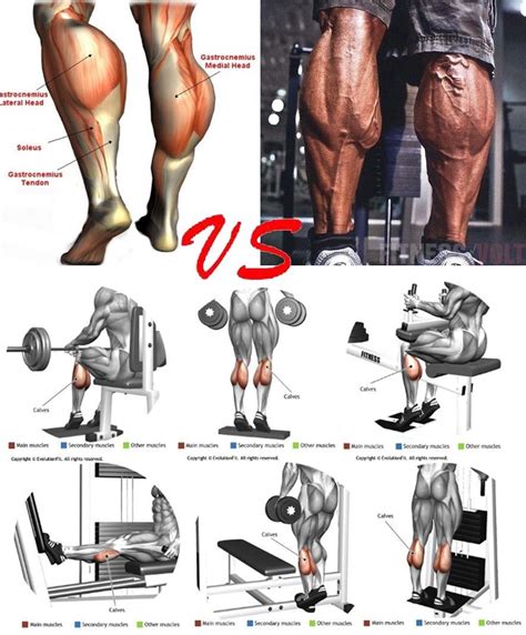 Build Strong and Big Calves with this workout and the most powerful Bulking Stack | Calf ...