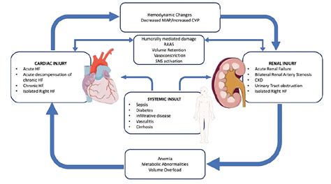 Device-Based Therapy of Acute Cardiorenal Syndrome in Heart Failure ...