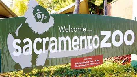 Sacramento Zoo Pictures: View Photos & Images of Sacramento Zoo