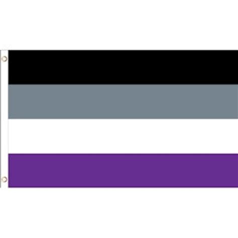 Asexual Pride Flag 3x5 - Etsy