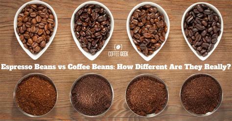 Espresso Beans vs Coffee Beans: How Different Are They Really?