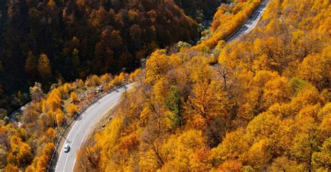 Forest to Monasteries, A Magical Tour of Dilijan and Ijevan - SuiteTrails