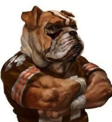 Ultimate Mascot AWESOME! | Cleveland browns wallpaper, Cleveland browns ...