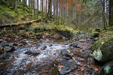 Winter in the Scottish Highlands - Where to Stay and Eat in Lochaber