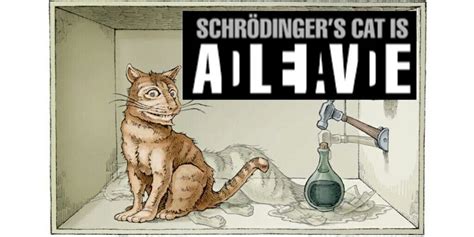 Schrodinger cat Schrodingers Cat, Cats, Novelty, Artist, Gatos, Artists ...