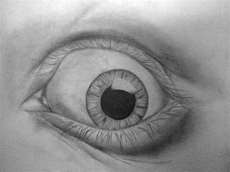 Wide Eye by Grahambo on DeviantArt