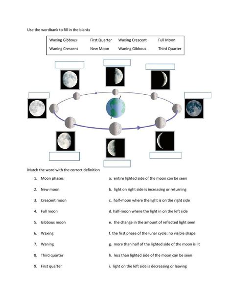 Moon Phases online exercise | Live Worksheets - Worksheets Library