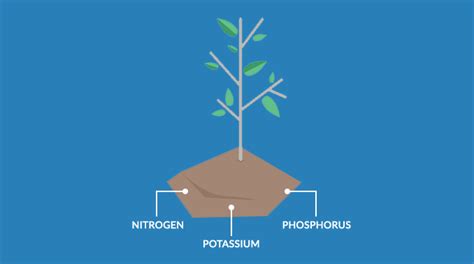 Soil Nutrients Deficiency and Replenishing - Earth How