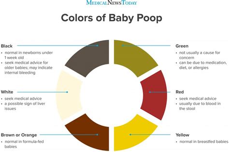 Different Colors Of Newborn Poop: What You Need To Know - Dixon Verse