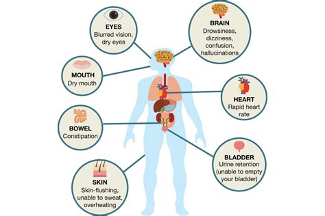 Effects Of Drugs On The Body