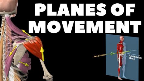 Planes of movement - YouTube