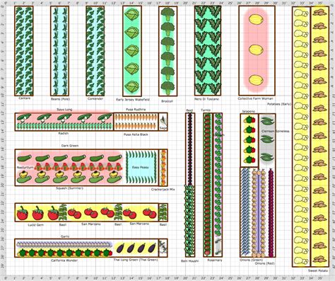 Garden Plan - 2018: Community Garden