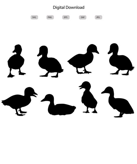 Baby Ducks Svg Baby Ducks Silhouette Baby Ducks Svg Bundle baby Ducks Cut File Baby Ducks ...