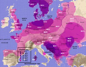 suebi y-dna input in north portugal and galicia | Page 2 | Eupedia Forum