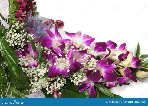 Orchid bouquet stock image. Image of nature, flowers - 12315201