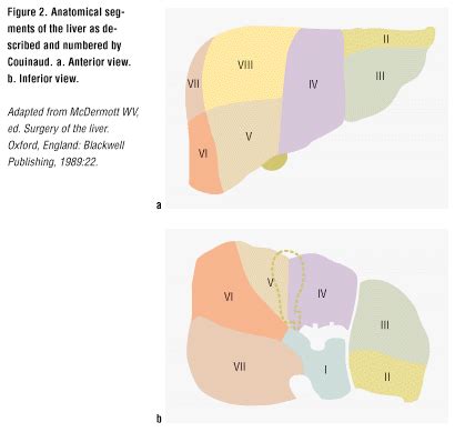 Liver Segments