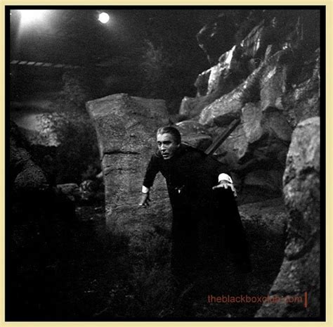 The Black Box Club: HAMMER FILMS: DRACULA HAS RISEN FROM THE GRAVE ...