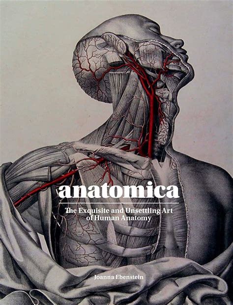 5 Best Anatomy Art Books For Beginners - Smashing Pencils