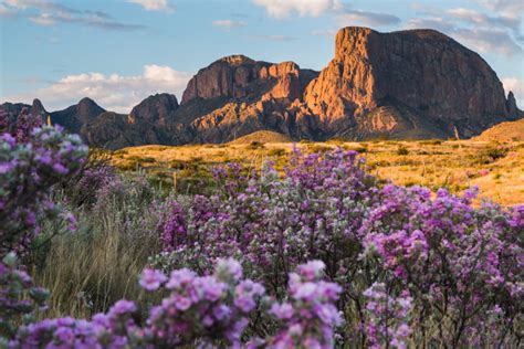 Roundup: The Best Hiking Trails in Texas | Texas Heritage for Living